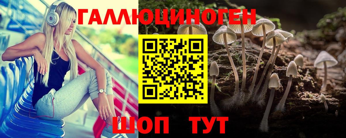 Лысьва  Галлюциногенные грибы Psilocybine cubensis  Вход с VPN 